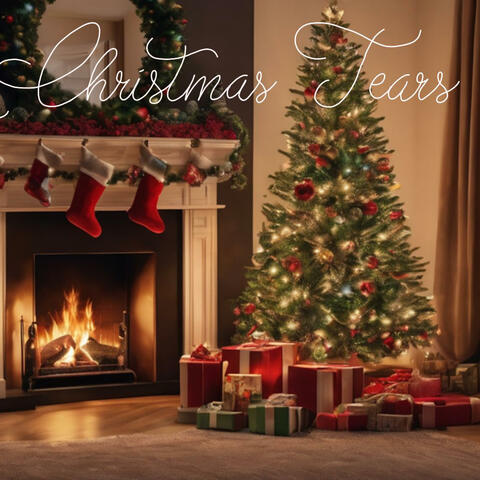 Lonely Christmas Tears