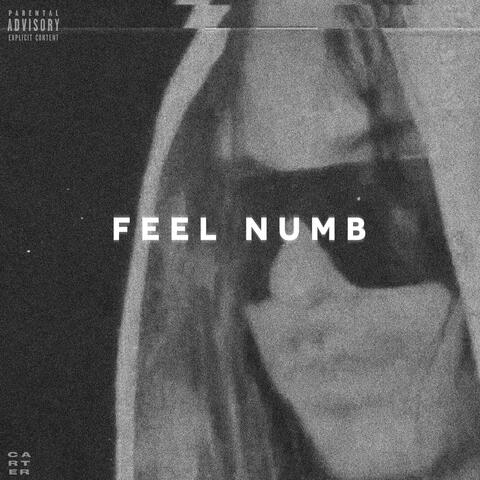 Feel Numb
