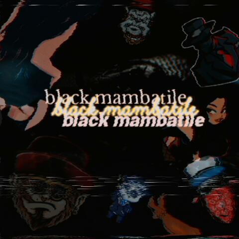 black mambatile