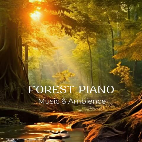Forest Piano (Music & Ambience)