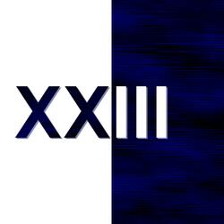23