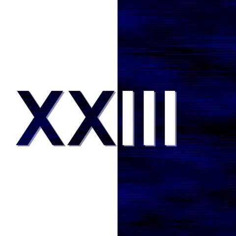23