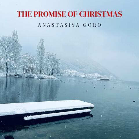 The Promise of Christmas