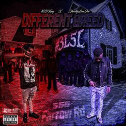 Different Breed (feat. Shawtylovejoc)