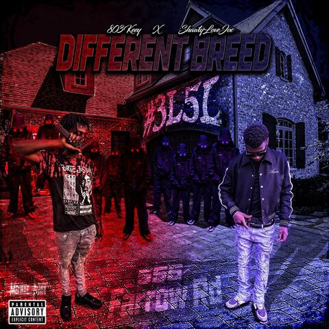 Different Breed (feat. Shawtylovejoc)