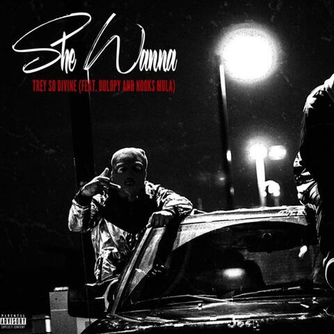 She Wanna (feat. Dulopy Himself & Nooks Mula)