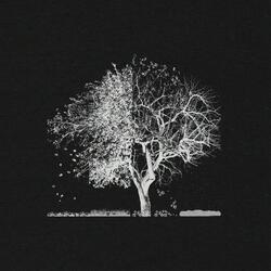 Fall In My Arms