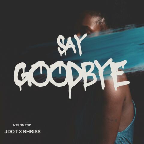 Say Goodbye (feat. 434Bhriss)
