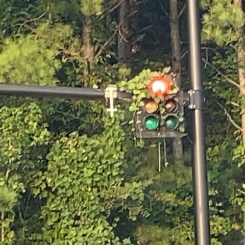 NeVeR L3t ğo (feat. Dada1k)