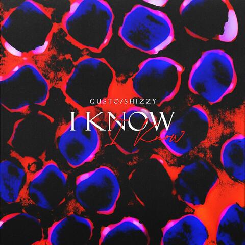 I KNOW (feat. Shizzy)