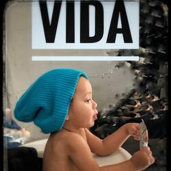 Vida