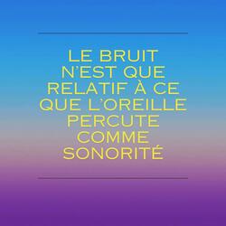 Le Bruit N'est Que Relatif A Ce Que L'oreille Percute Comme Sonorité