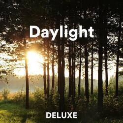 Daylight