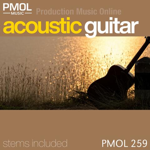 Acoustic Guitar