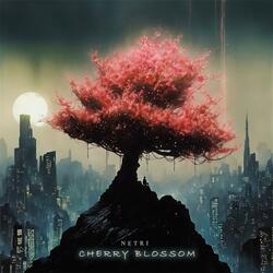 Cherry blossom