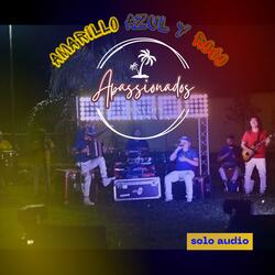 AMARILLO AZUL Y ROJO