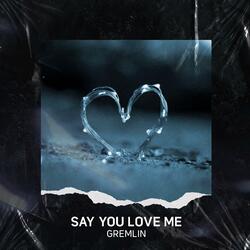 Say You Love Me