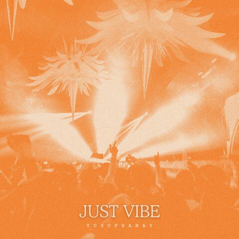 Just Vibe