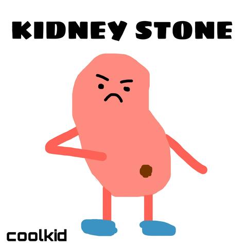 KIDNEY STONE