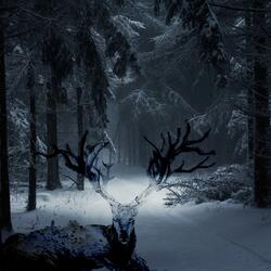 Cold (feat. Donny G)