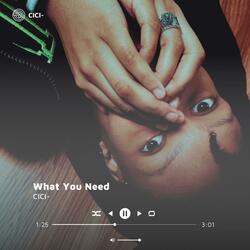 What You Need