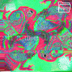 goingup??? (don't press the button again) (feat. bogshawty)