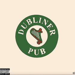 the dubliner pub