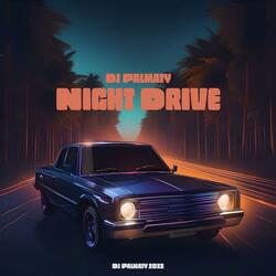 Night Drive