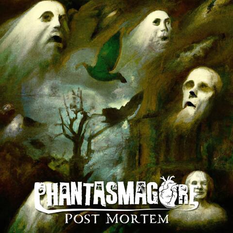 Post Mortem