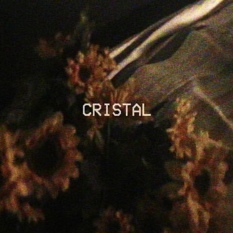 CRISTAL