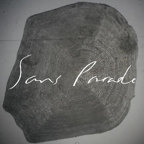 The Night I Fell Down Like a Snowflake