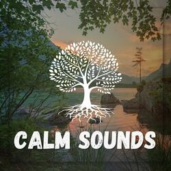 Calm Sounds to Relax