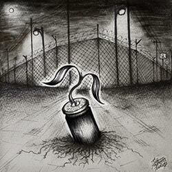 Stray Dog