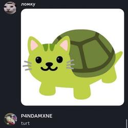 turt (feat. LomQ)