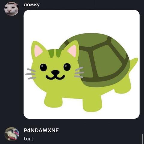 turt (feat. LomQ)