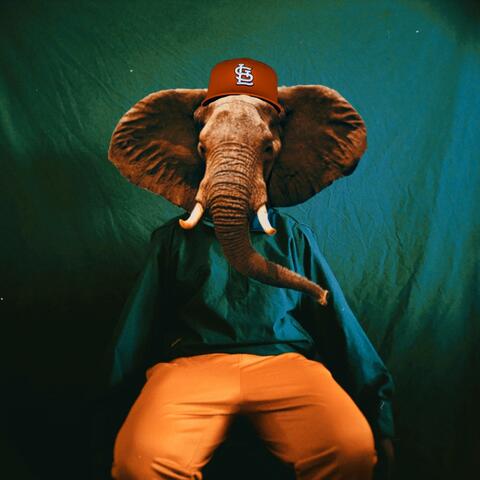 ELEPHANT IN THE ROOM (feat. $TORM2x)