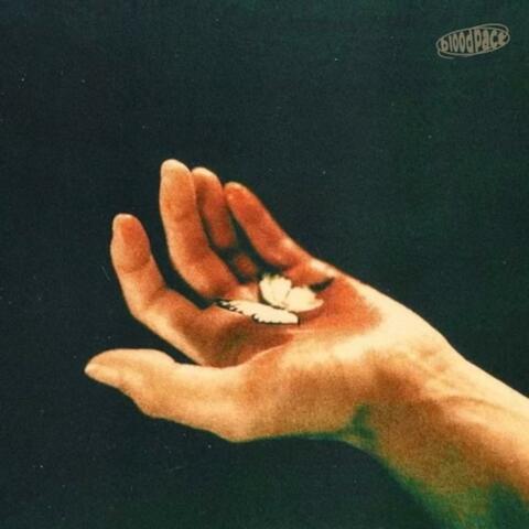 Blood Pact