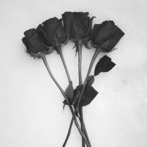 True Love (Instrumental)