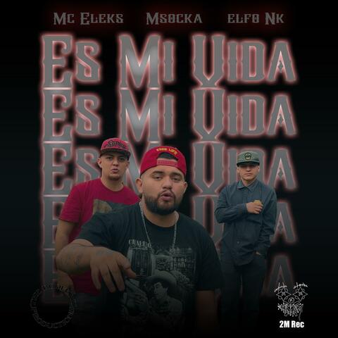 Es Mi Vida v