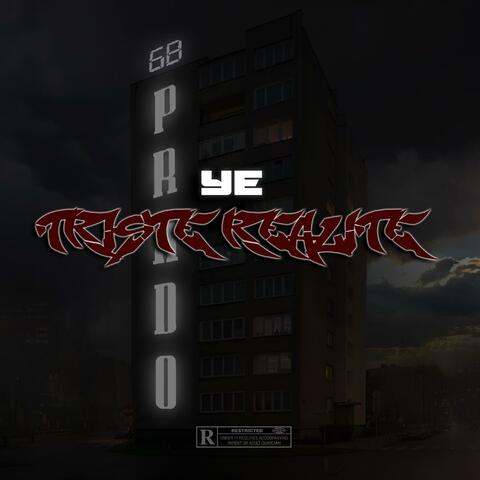 Triste-realité (Radio Edit)