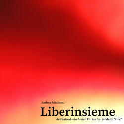Liberinsieme