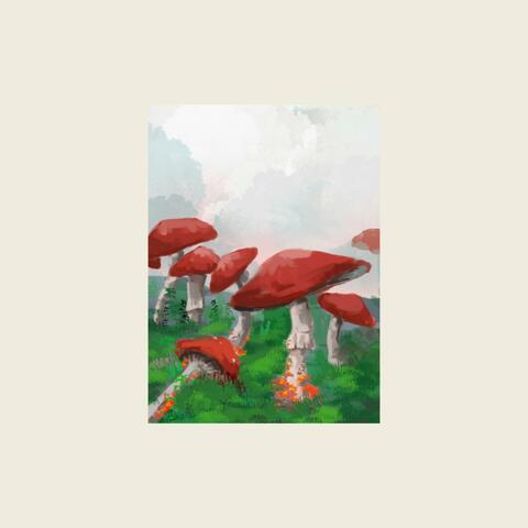 Psilocybin Daydreams