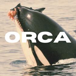 ORCA