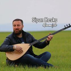 Qamişlo
