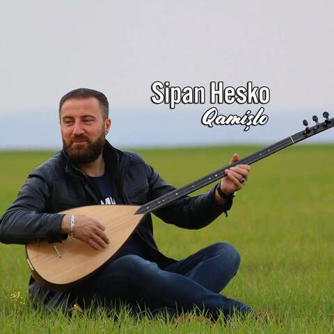 Qamişlo