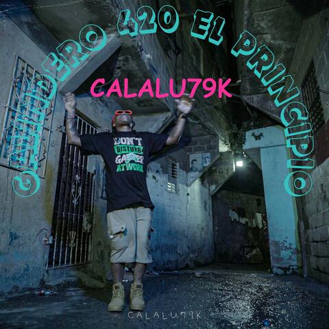 GALINDERO 420 EL PRINCIPIO