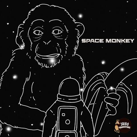 Space Monkey