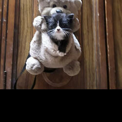 Some Things Will Never Change (feat. Sean Williams)