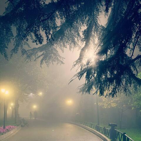 Lights in the Fog