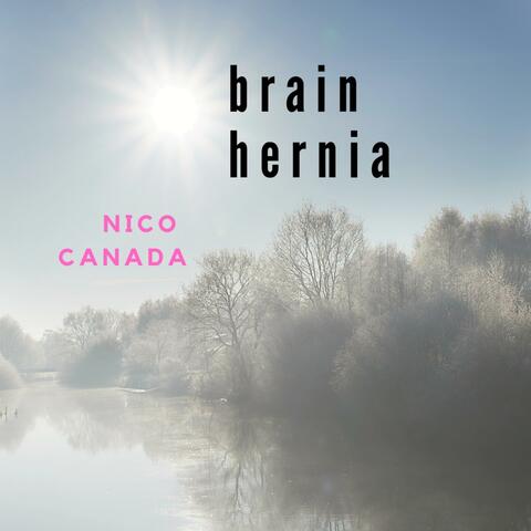 Brain Hernia